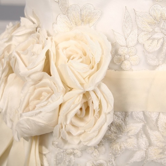 ST PUCCHI Grace Z157 Embroidered Organza Formal Bridal Plus Wedding Dress 20 - Picture 4 of 8